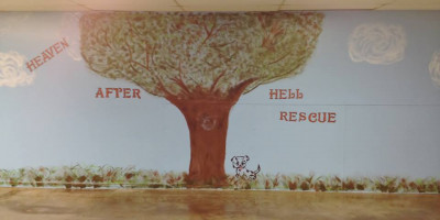 Heaven After Hell Rescue - Pet Shelter and Rescue in Indianapolis, Indiana