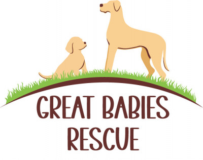 Great Babies Rescue Inc. - Pet Shelter and Rescue in Paoli, Indiana