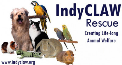 IndyCLAW Rescue - Pet Shelter and Rescue in Indianapolis, Indiana