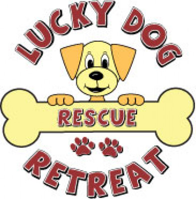 Lucky Dog Retreat Rescue, Inc. - Pet Shelter and Rescue in Indianapolis, Indiana