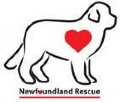 South Central Newfoundland Rescue - Pet Shelter and Rescue in Crows Nest, Indiana