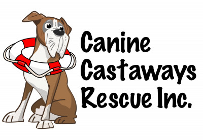 Canine Castaways Rescue - Pet Shelter and Rescue in Fountaintown, Indiana
