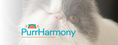 PurrHarmony Inc - Pet Shelter and Rescue in Valparaiso, Indiana