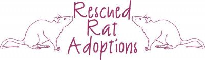 Rescue Rat Adoptions - Pet Shelter and Rescue in Michigan City, Indiana