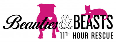 Beauties And Beasts Rescue - Pet Shelter and Rescue in Wichita, Kansas