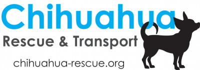 Chihuahua Rescue & Transport, Inc - Pet Shelter and Rescue in Plano, Texas