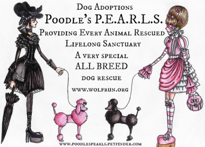 Wolf Run Wildlife Refuge - Poodles P.E.A.R.L.S. - Pet Shelter and Rescue in Nicholasville, Kentucky