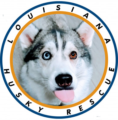 Louisiana Husky Rescue Inc. - Pet Shelter and Rescue in Lafayette, Louisiana
