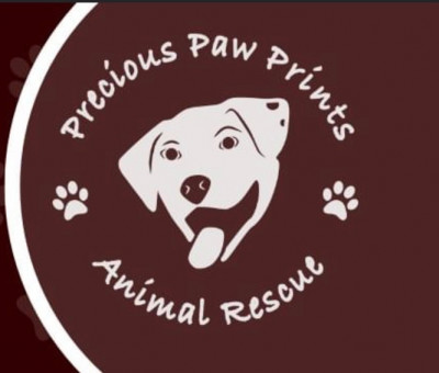 Precious Paw Prints Animal Rescue - Pet Shelter and Rescue in Crowley, Louisiana