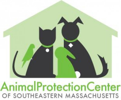 Animal Protection Center Of Southeastern MA - Pet Shelter and Rescue in Brockton, Massachusetts