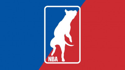 NBA Rescue - Pet Shelter and Rescue in Brockton, Massachusetts