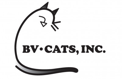 BV Cats, Inc. - Pet Shelter and Rescue in Northbridge, Massachusetts