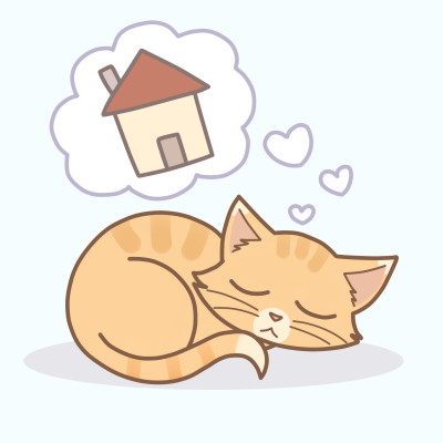 Furever Homes For Felines, Inc. - Pet Shelter and Rescue in Belchertown, Massachusetts