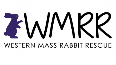 Western Mass Rabbit Rescue - Pet Shelter and Rescue in Northampton, Massachusetts