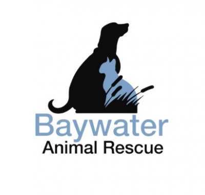 Baywater Animal Rescue - Pet Shelter and Rescue in Cambridge, Maryland
