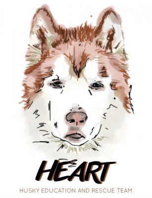 Husky Education And Rescue Team - Pet Shelter and Rescue in Odenton, Maryland