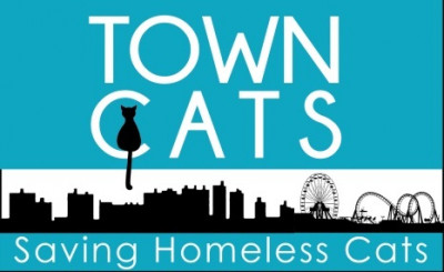 Town Cats - Pet Shelter and Rescue in Ocean Pines, Maryland