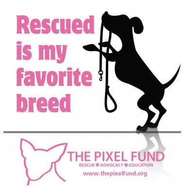 The Pixel Fund - Pet Shelter and Rescue in Gorham, Maine