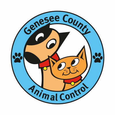 Genesee County Animal Control - Pet Shelter and Rescue in Flint, Michigan