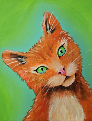 Underdog Cat Rescue - Pet Shelter and Rescue in Mount Clemens, Michigan