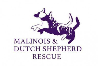 Malinois And Dutch Shepherd Rescue, Inc. - Pet Shelter and Rescue in Imlay City, Michigan