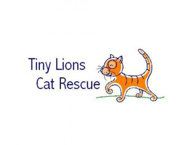 Tiny Lions Cat Rescue - Pet Shelter and Rescue in Ann Arbor, Michigan