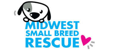 Midwest Small Breed Rescue - Pet Shelter and Rescue in Grosse Pointe Farms, Michigan