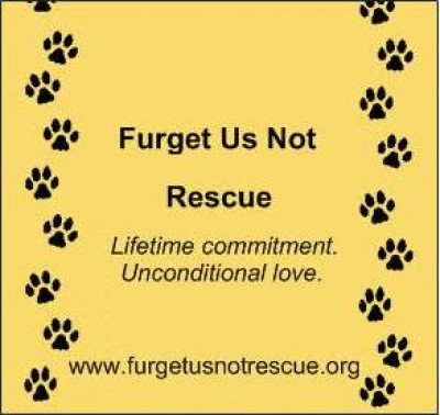 Furget Us Not Rescue, Inc - Pet Shelter and Rescue in Utica, Michigan