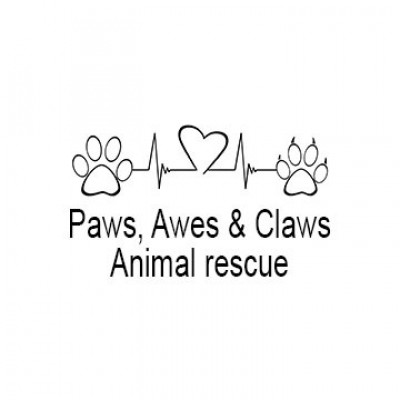 Paws, Awes, And Claws - Pet Shelter and Rescue in New Baltimore, Michigan