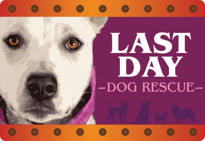 Last Day Dog Rescue - Pet Shelter and Rescue in Livonia, Michigan