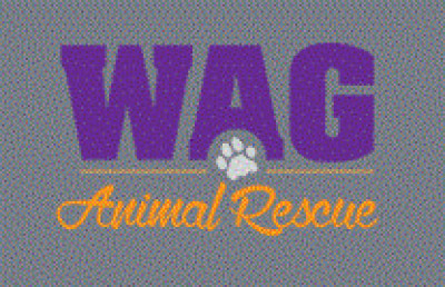 WAG Animal Rescue - Pet Shelter and Rescue in Wyandotte, Michigan