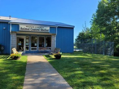 Mason County Animal Control - Pet Shelter and Rescue in Ludington, Michigan