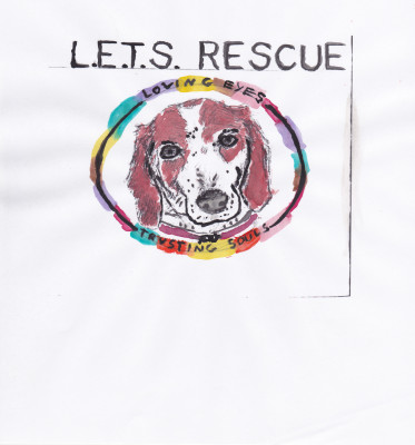 L.E.T.S. Rescue - Loving Eyes Trusting Souls - Pet Shelter and Rescue in Fowlerville, Michigan