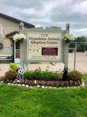 Wyandotte Animal Adoption Center - Pet Shelter and Rescue in Wyandotte, Michigan