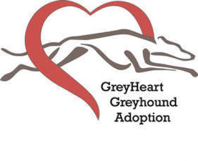 GREYHEART Greyhound Rescue & Adoption Of Michigan - Pet Shelter and Rescue in Livonia, Michigan