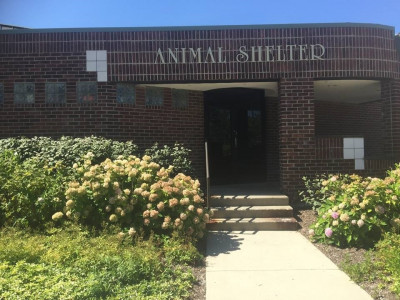 Bloomfield Township Animal Welfare - Pet Shelter and Rescue