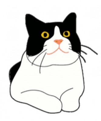 Buddies Place Rescue - Pet Shelter and Rescue in Fort Worth, Texas