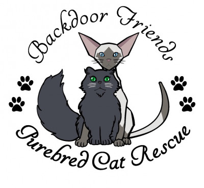 Backdoor Friends Purebred Cat Rescue - Pet Shelter and Rescue in Farmington, Michigan