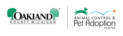 Oakland County Animal Shelter And Pet Adoption Center - Pet Shelter and Rescue in Pontiac, Michigan