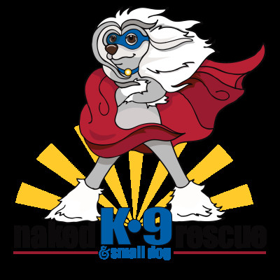 Naked K9 & Small Dog Rescue - Pet Shelter and Rescue in Lansing, Michigan