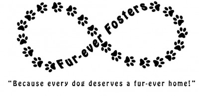 FurEver Fosters - Pet Shelter and Rescue in Niles, Michigan