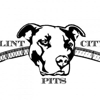 Flint City Pits - Pet Shelter and Rescue in Flint, Michigan