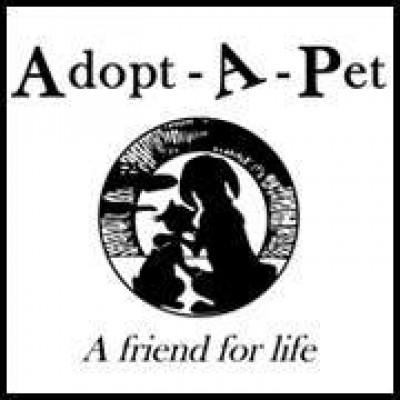 Adopt-A-Pet, Inc. - Pet Shelter and Rescue in Fenton, Michigan