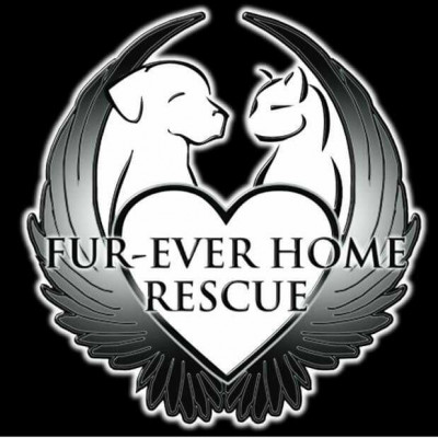 Fur-Ever Home Rescue - Pet Shelter and Rescue in Zimmerman, Minnesota
