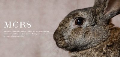 Minnesota Companion Rabbit Society - Pet Shelter and Rescue in Minneapolis, Minnesota