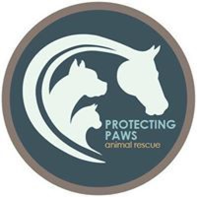 Protecting Paws Animal Rescue - Pet Shelter and Rescue in Lakeville, Minnesota