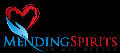 Mending Spirits Animal Rescue - Pet Shelter and Rescue in Skyline, Minnesota