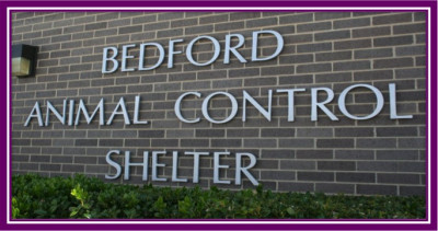 Bedford Animal Control - Pet Shelter and Rescue in Bedford, Texas