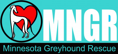 Minnesota Greyhound Rescue - Pet Shelter and Rescue in INVER GROVE, Minnesota