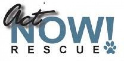 Act Now Rescue - Pet Shelter and Rescue in St. Louis, Missouri